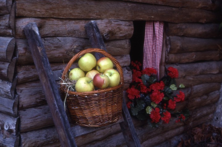 Nová záhrada - skladovanie úrody